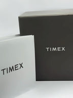 Timex Blueberry dial detail